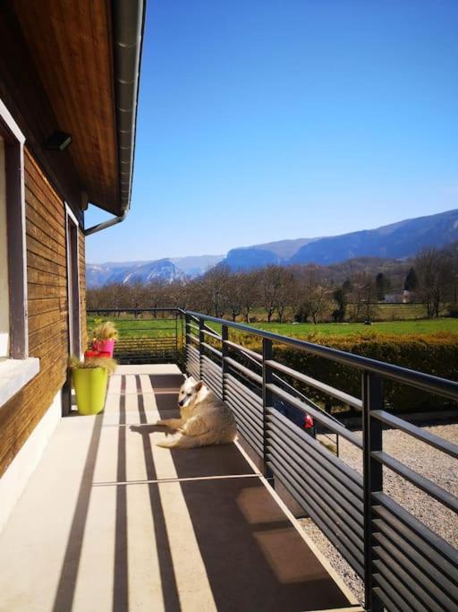 Balcons Du Royans.logement Entier Piscine Appartement Saint-Jean-en-Royans